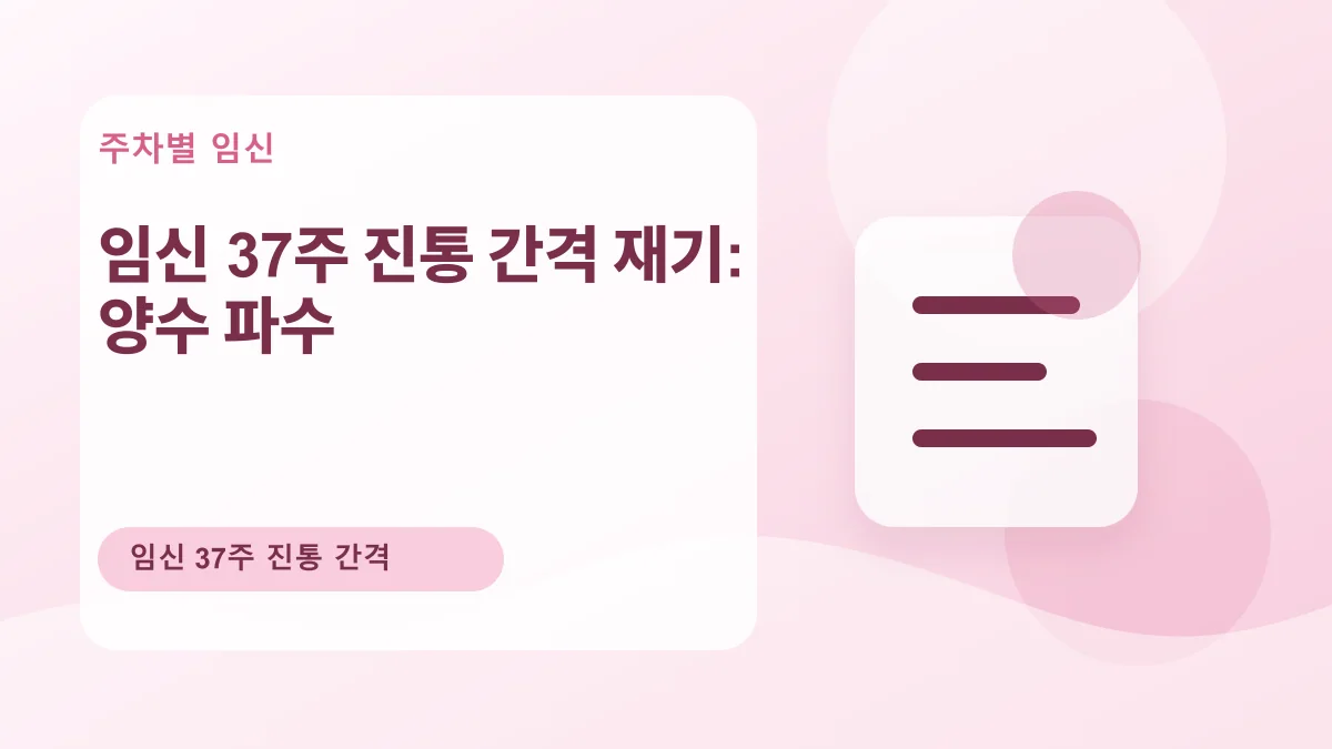 임신 37주 진통 간격 재기: 양수 파수 대표 이미지