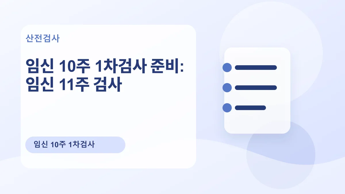 임신 10주 1차검사 준비: 임신 11주 검사 대표 이미지
