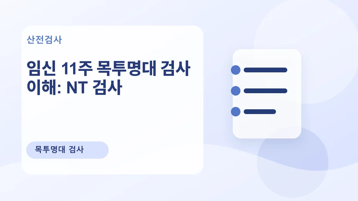 임신 11주 목투명대 검사 이해: NT 검사 대표 이미지