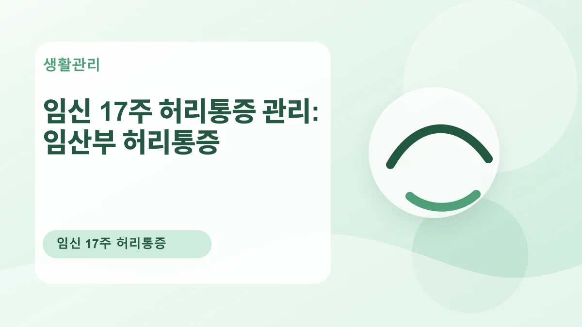 임신 17주 허리통증 관리: 임산부 허리통증 대표 이미지