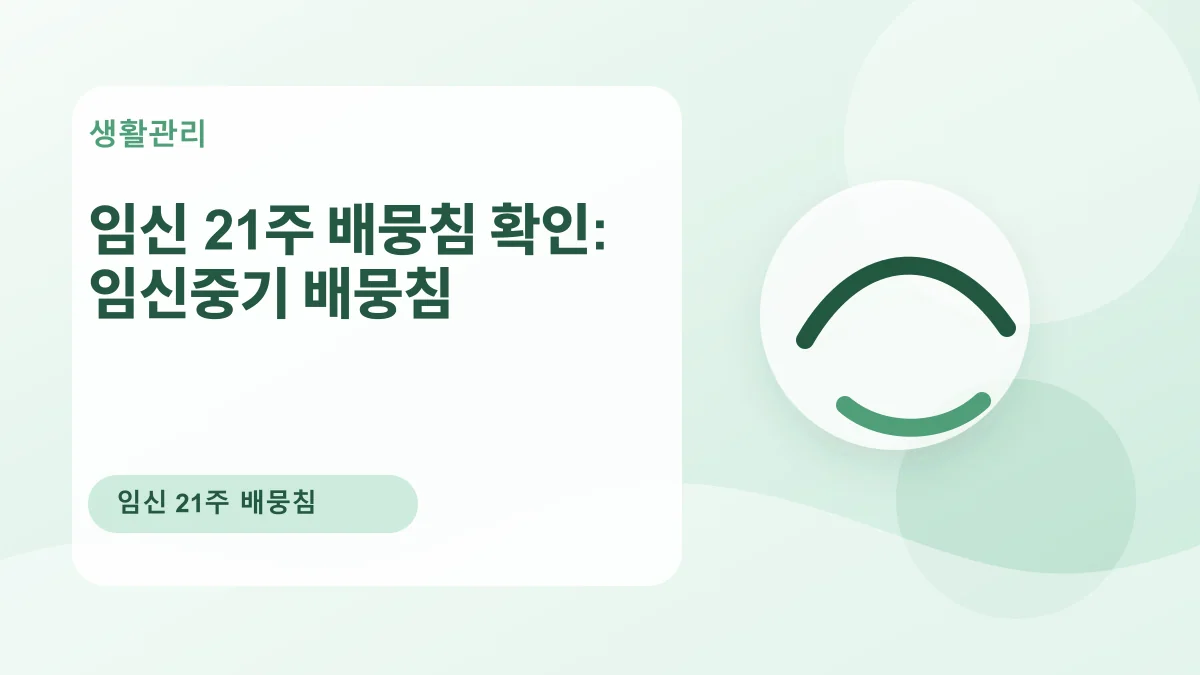 임신 21주 배뭉침 확인: 임신중기 배뭉침 대표 이미지
