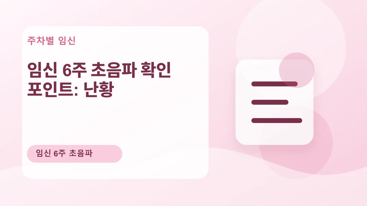 임신 6주 초음파 확인 포인트: 난황 대표 이미지
