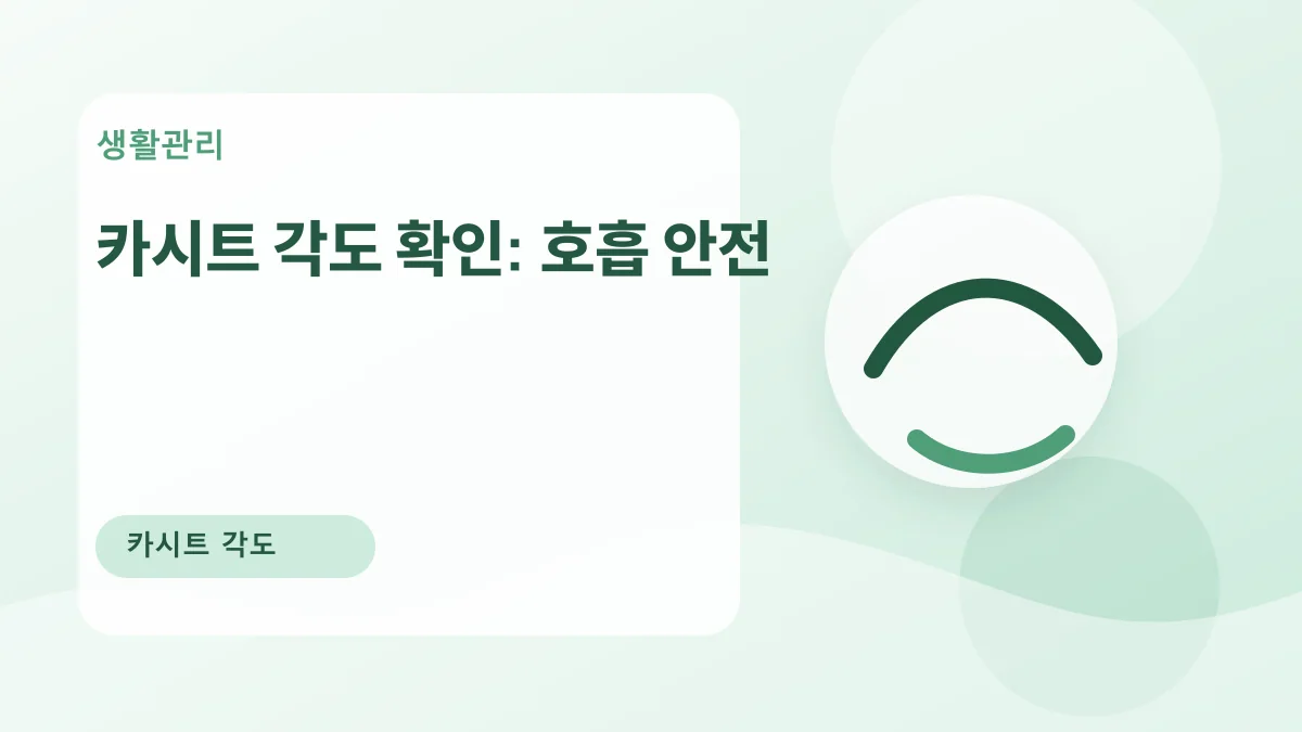 카시트 각도 확인: 호흡 안전 대표 이미지